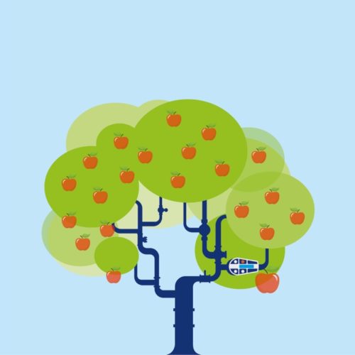Compressed air savings: the low hanging fruit Compressed air savings: the low hanging fruit