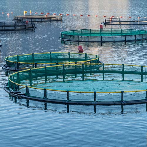 Measure oxygen supply in fish farms